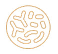 ic2